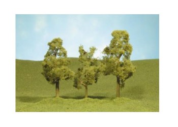 N SYCMRE TREES 2-3 IN-4 PK