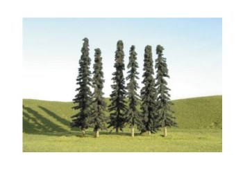 3" TO 4" CONIFERS-36 PC