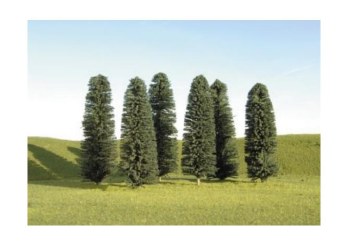 5" TO 6" CEDARS-24 PC