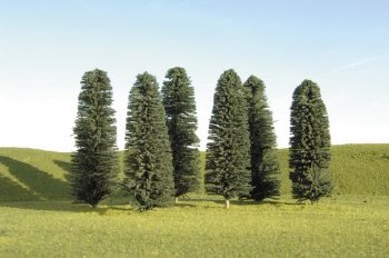 O CEDAR TREES 8"-10"-3 PK