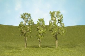 O ASPEN TREES 8" - 2 PK