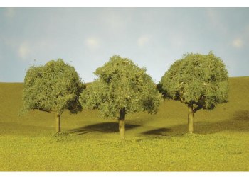 O OAK TREES 4 1/2-5