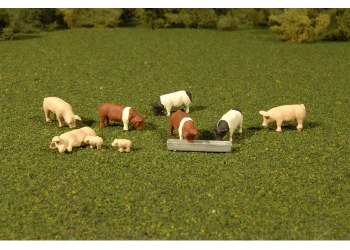 9 PIGS & TROUGH