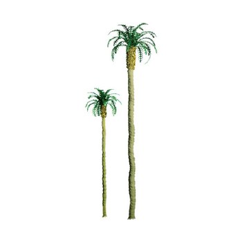 PALM TREE 4