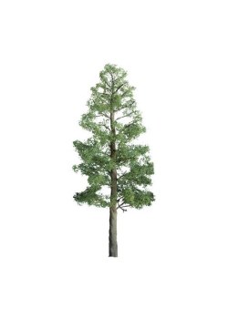 PINE 2