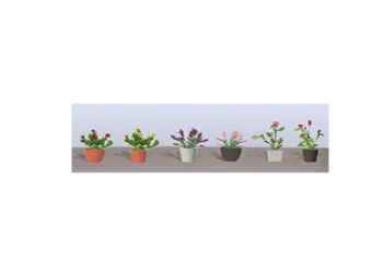 ASSORTED POTTED FLOWER PLANTS