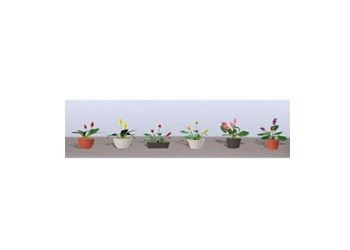 ASSORTED POTTED FLOWER PLANTS