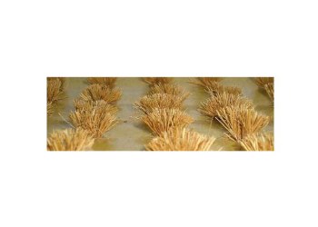 HO DETACHABLE WHEAT BUSHES