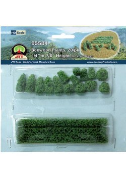 HO BOXWOOD PLANTS, 20/PK