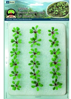 O RHUBARB PLANTS, 18/PK