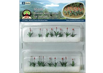 O PRIMULA VIALLI, 18/PK