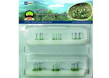 ALLIUM GIGATEUM, 30/PK