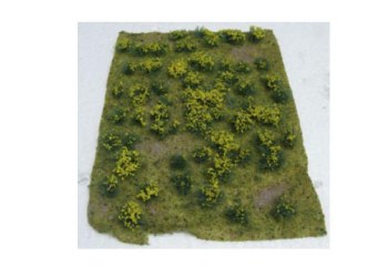 HO, FLOWERING MEADOW YELLOW,