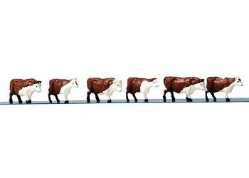 CATTLE  (6)