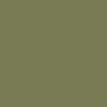 OLIVE DRAB FADED 1 1 OZ