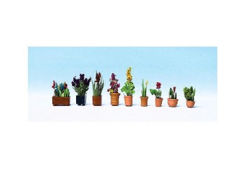 POTTED ORNAMENTAL PLANTS