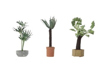 POTTED TROPICALS-3 PC