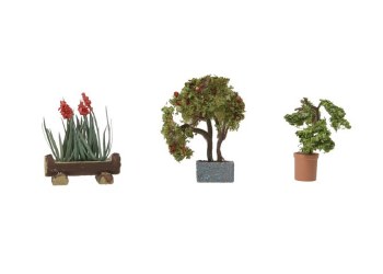 POTTED BLOOMING PLANTS-3 PC