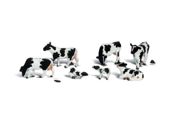 HOLSTEIN COWS