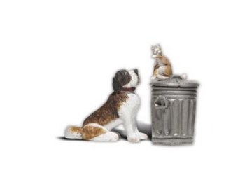 G DOG W/CAT ON TRASH CAN