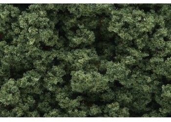 CLUMP-FOLIAGE MED GREEN