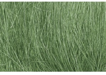 FIELD GRASS-MEDIUM GREEN