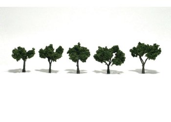 FIVE MEDIUM GREEN TREES