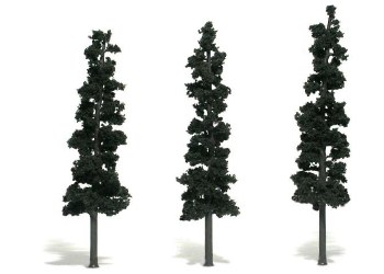 THREE CONIFER TREES