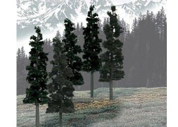 12 PINE TREES-6" TO 8"