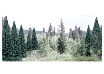 18 TREES 2"-4" SPRUCE