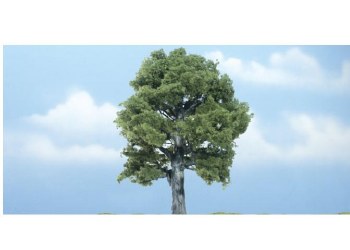 ONE OAK TREE-5"