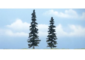 TWO SPRUCE TREES-4" TO 5"