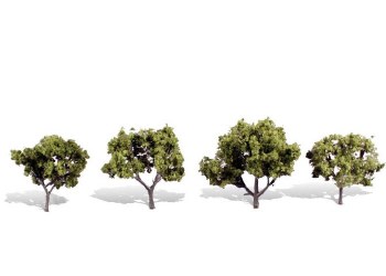 FOUR EARLY LIGHT TREES 2"- 3"