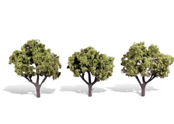 THREE EARLY LIGHT TREES 3"- 4"