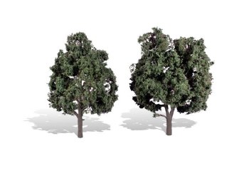 TWO COOL SHADE TREE-5" TO 6"