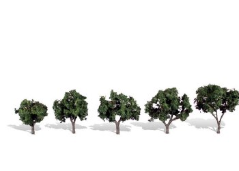 FIVE COOL SHADE TREES