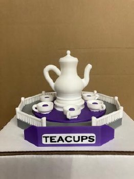 N MOTORIZED TEACUPS