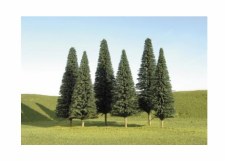 PINE TREES 5 TO 6 IN-6 PK