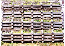 LARGE TIMBER RETAINING WALL