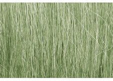 FIELD GRASS-LIGHT GREEN