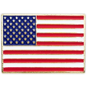 The United States Flag Collector's Edition Lapel Pin