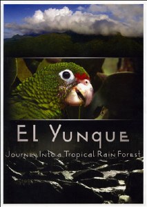 El Yunque: Journey into a Tropical Rain Forest DVD