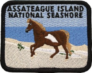 Assateague Island Survivor Patch
