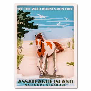 Assateague Island National Seashore Retro 3D Magnet