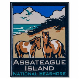 Assateague Island National Seashore Magnet