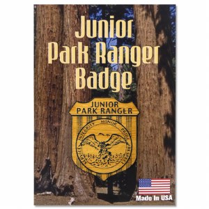 Junior Ranger Wooden Badge Pin