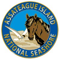 Assateague Island Wildlife Magnet