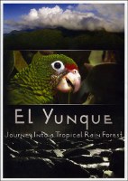 El Yunque: Journey into a Tropical Rain Forest DVD El Yunque: Journey into a Tropical Rain Forest DVD