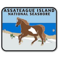 Assateague Island Survivor Hiking Medallion