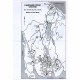 Additional picture of Pocket Guide to The Carriage Roads of Acadia